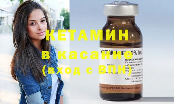 стаф Алзамай