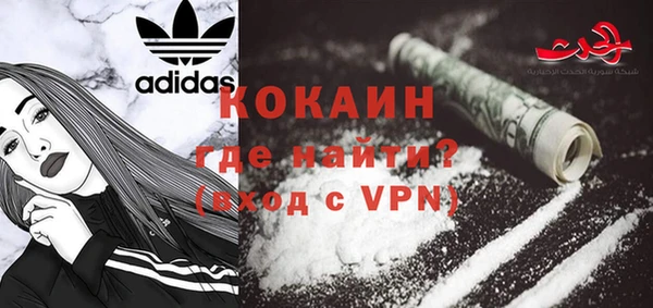стаф Алзамай