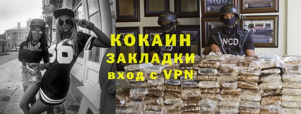стаф Алзамай