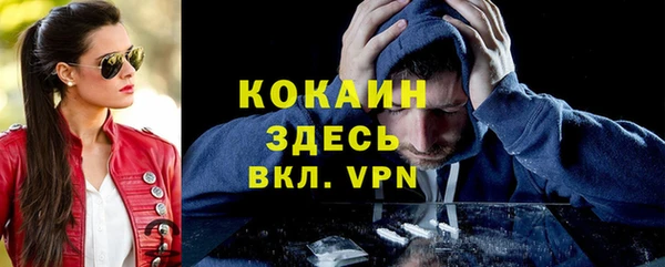 стаф Алзамай