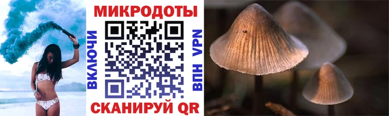 Галлюциногенные грибы мухоморы  Бологое 