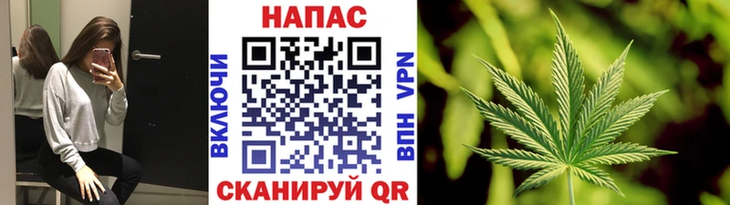 Марихуана сатива  блэк спрут tor  Бологое 